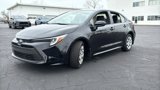New 2025 Toyota Corolla LE image 4