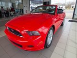 Used 2014 Ford Mustang Convertible image 2