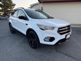 Used 2017 Ford Escape SE w/ SE Sport Appearance Package image 5