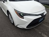 Used 2024 Toyota Corolla LE w/ LE Convenience Package image 6
