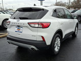 Certified 2022 Ford Escape SE w/ Cold Weather Package image 6