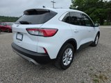 Used 2020 Ford Escape SE image 5