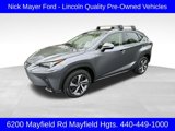 Used 2018 Lexus NX 300 AWD image 1