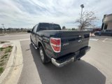 Used 2013 Ford F150 XLT w/ Luxury Equipment Group image 5