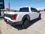 Used 2019 Ford F150 Raptor w/ Equipment Group 802A Luxury image 4