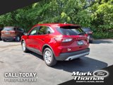 Used 2022 Ford Escape SE w/ Convenience Package image 3