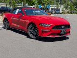 Used 2022 Ford Mustang Premium image 2