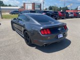 Used 2017 Ford Mustang Coupe w/ Ecoboost Performance Package image 4