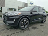 Certified 2022 Ford Escape SEL w/ SEL Stealth AWD Package image 5