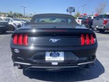 Used 2022 Ford Mustang Premium image 5