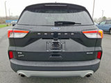 Used 2021 Ford Escape SE w/ Convenience Package image 5