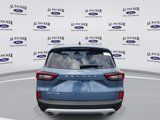 New 2025 Ford Escape Active w/ Tech Pack #1 image 4
