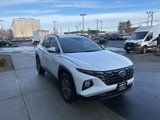 Used 2022 Hyundai Tucson Blue w/ Cargo Package image 4