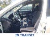 Used 2017 Nissan Rogue SV w/ SV Premium Package image 5