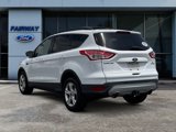 Used 2014 Ford Escape SE w/ Equipment Group 201A image 4