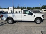 New 2025 Ford F150 XL image 3
