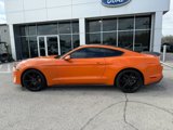 Used 2020 Ford Mustang Coupe w/ Black Accent Package image 4