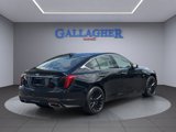 Used 2022 Cadillac CT5 Premium Luxury image 4