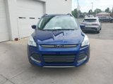 Used 2016 Ford Escape SE w/ Equipment Group 201A image 2
