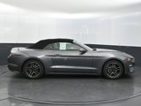 Used 2021 Ford Mustang Premium image 6