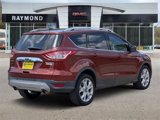 Used 2014 Ford Escape Titanium image 4