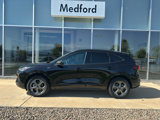 Used 2024 Ford Escape ST-Line image 2