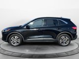 Certified 2022 Ford Escape SEL image 2