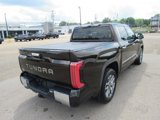 Used 2022 Toyota Tundra 1794 Edition image 6