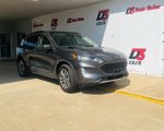 Used 2020 Ford Escape SEL image 6