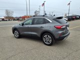 Used 2022 Ford Escape SEL image 6