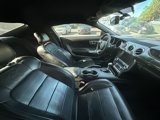 Used 2015 Ford Mustang Premium w/ Equipment Group 201A image 4