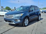 Used 2019 Ford Escape SEL image 3