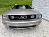 Used 2009 Ford Mustang Premium image 6