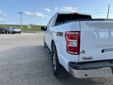 Used 2020 Ford F150 XLT w/ Equipment Group 302A Luxury image 3