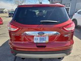 Used 2014 Ford Escape Titanium image 4