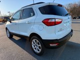 Used 2019 Ford EcoSport SE w/ SE Convenience Package image 3