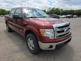 Used 2014 Ford F150 XLT image 6