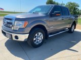 Used 2014 Ford F150 XLT w/ Equipment Group 302A Luxury image 3