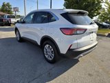Used 2022 Ford Escape SE image 5
