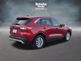 Used 2020 Ford Escape SE image 5