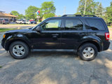 Used 2011 Ford Escape XLT w/ 202A Rapid Spec Order Code image 4