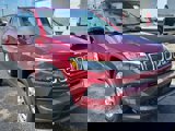 View Video