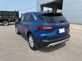 Used 2023 Ford Escape Active w/ Tech Pack #2 image 3