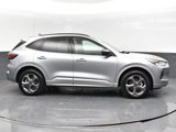 Used 2024 Ford Escape ST-Line image 4