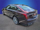 Used 2020 Cadillac CT5 Premium Luxury image 3
