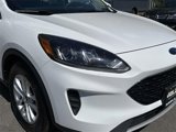 Used 2020 Ford Escape SE image 4