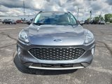 Used 2022 Ford Escape SEL w/ Equipment Group 302A image 3