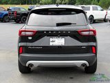 Used 2023 Ford Escape Platinum image 4