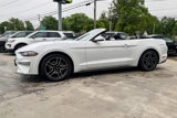 Used 2019 Ford Mustang Premium image 6