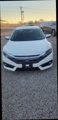 Used 2017 Honda Civic Touring image 4
